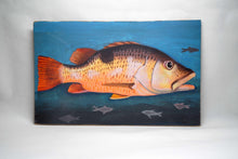 Load image into Gallery viewer, Paintings of the Indus Delta